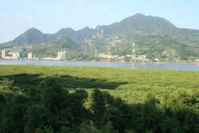 觀音山山景